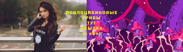эйфоретик Алзамай